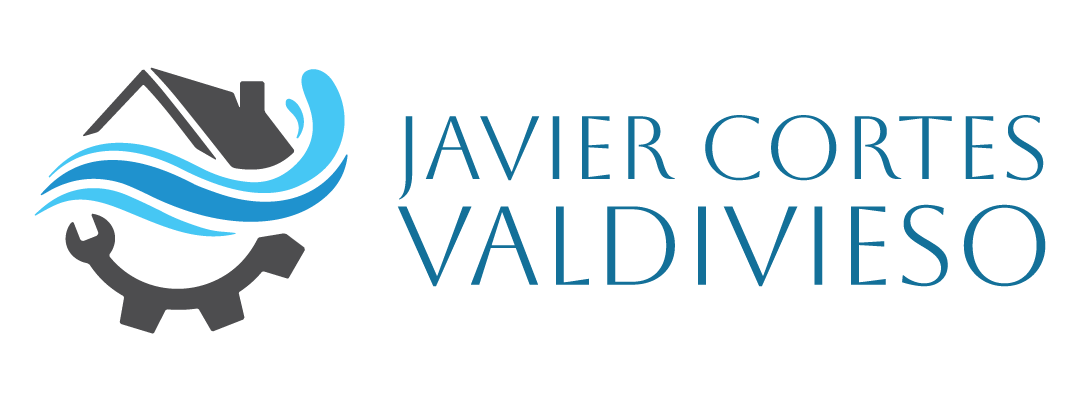 JAVIER CORTES VALDIVIESO